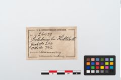 Etikett zu Bronzearmreif (NHMW-PRAE-024429)